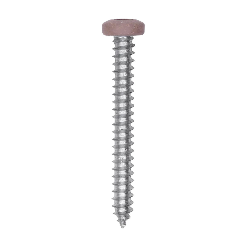#8x1-1/2" Pan Head Painted Square Drive Tapping Screw, Type A/AB, Zinc, Tan