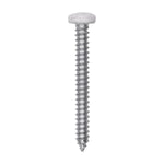 #8x1-1/2" Pan Head Painted Square Drive Tapping Screw, Type A/AB, Zinc, White