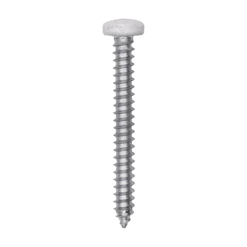 #8x1-1/2" Pan Head Painted Square Drive Tapping Screw, Type A/AB, Zinc, White