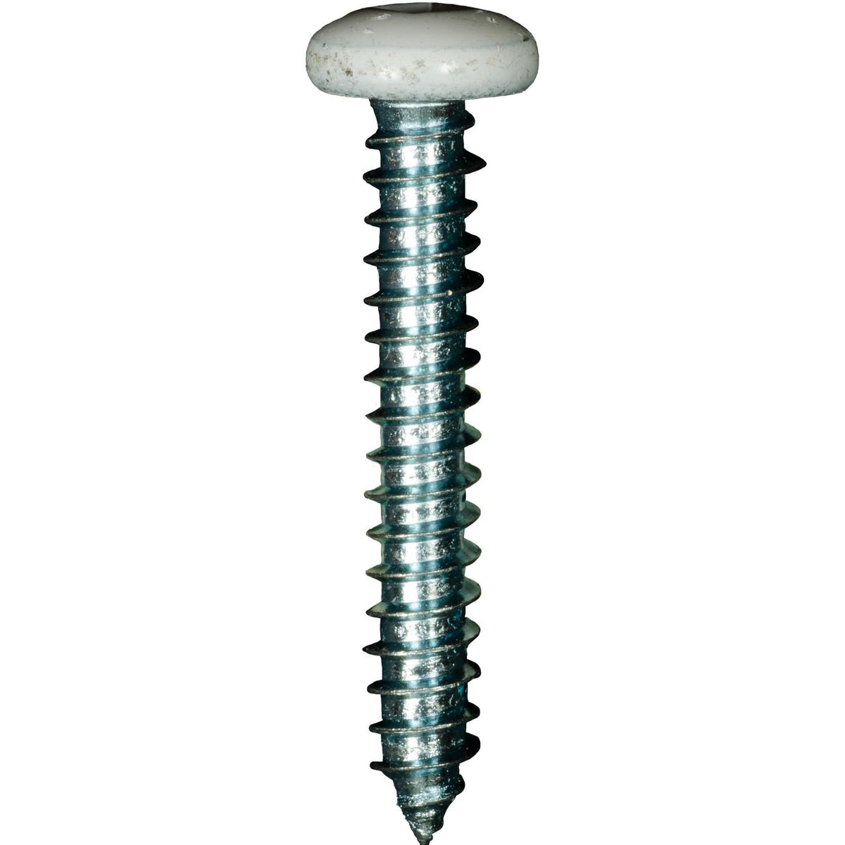 #10x1-1/4" Pan Head Painted Square Drive Tapping Screw, Type A/AB, Zinc, No. 2, Steel