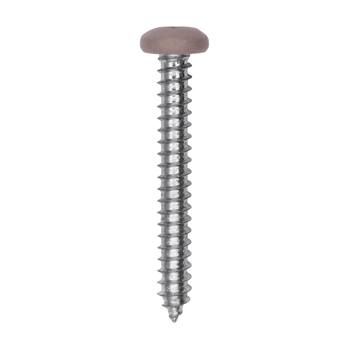 #10x1-1/2" Pan Head Painted Square Drive Tapping Screw, Type A/AB, Zinc, Tan