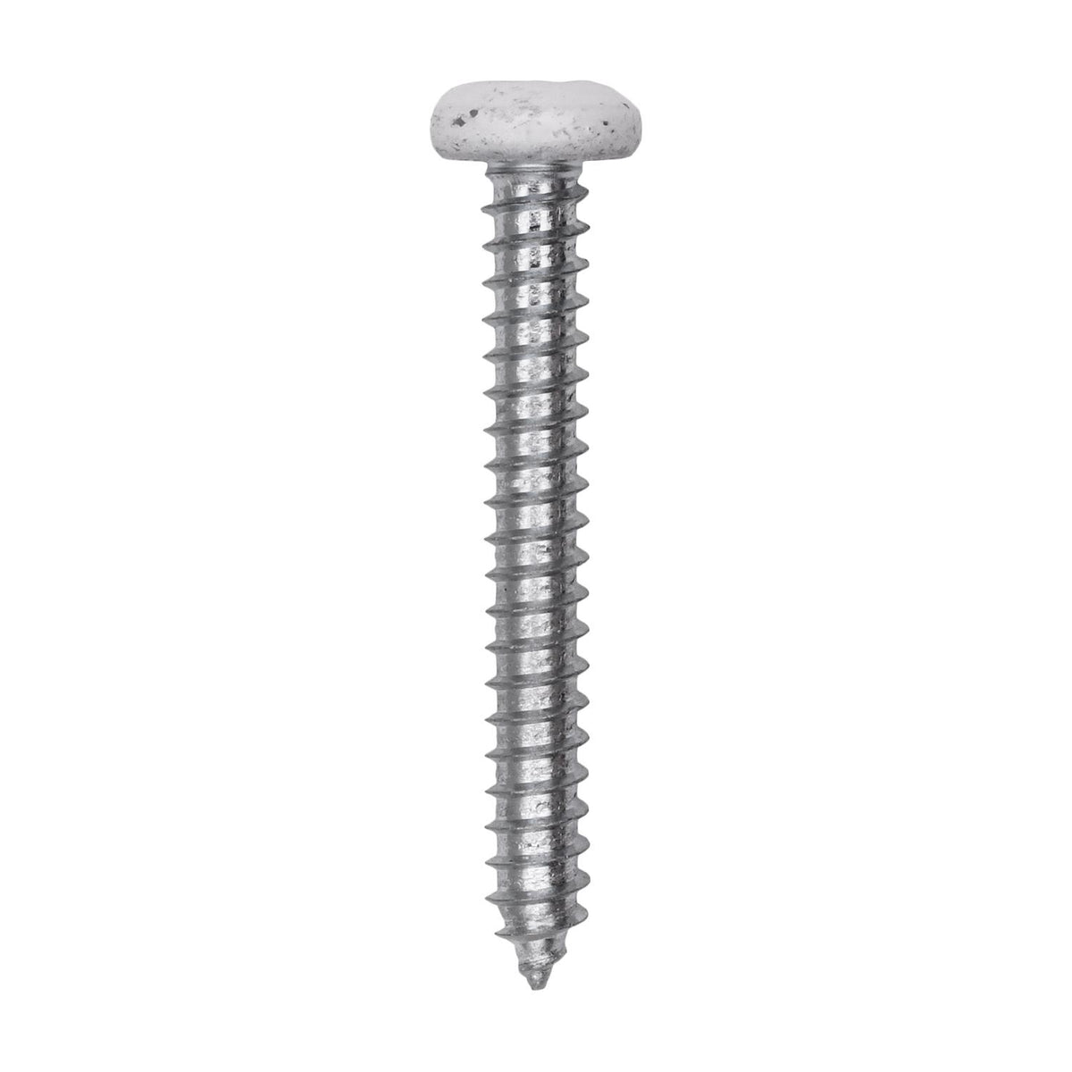 #10x1-1/2" Pan Head Painted Square Drive Tapping Screw, Type A/AB, Zinc, White