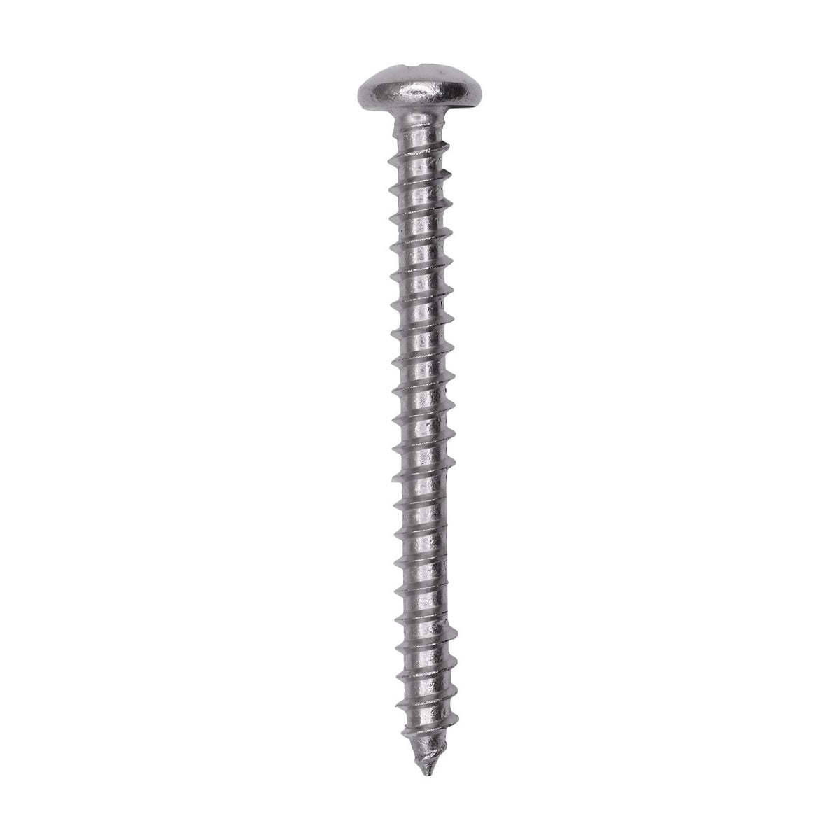 #10 X 2 18-8 Stainless Steel Phillips Pan Head Tapping Screw