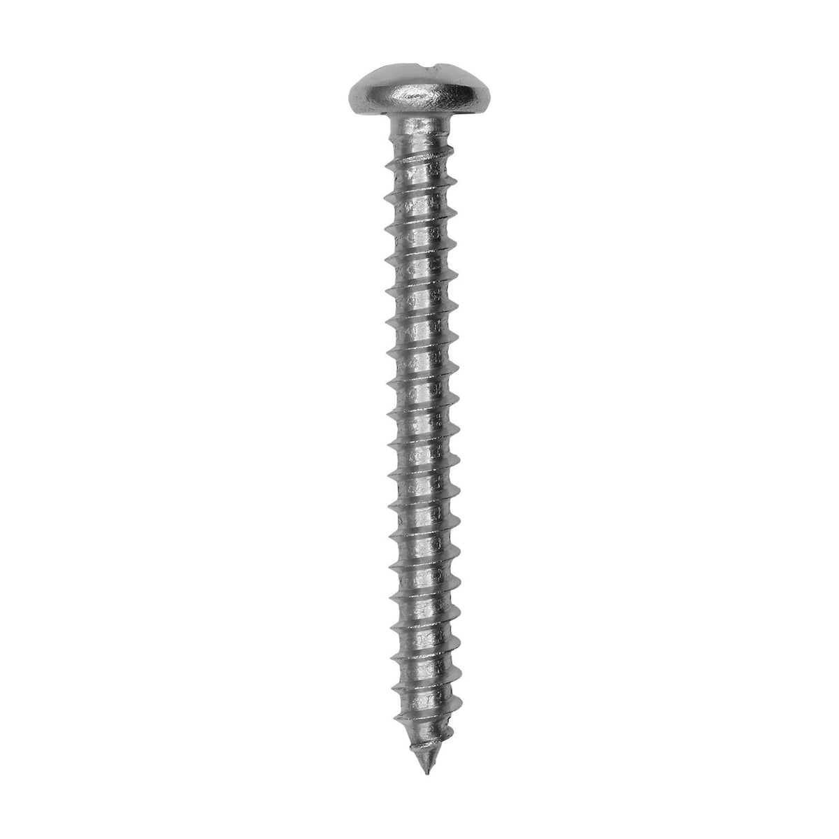 #12 X 2 18-8 Stainless Steel Phillips Pan Head Tapping Screw