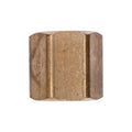 1/8" NPT Brass Caps Pipe Threads