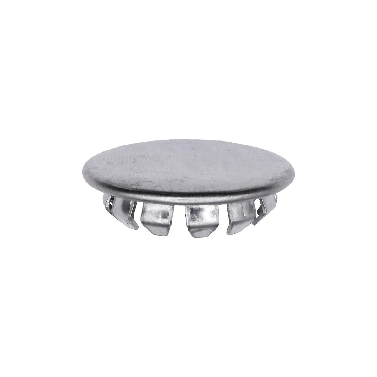 3/4" Stainless Steel Plug Buttons, 15/16" Head