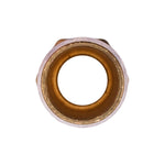 1/4" NPT Brass To Hose Barb Male Pipe Adapter, 1/2"