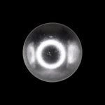 1/2"-13x1-1/2" Round Head Bumper Bolt Stainless Steel Cap, Zinc