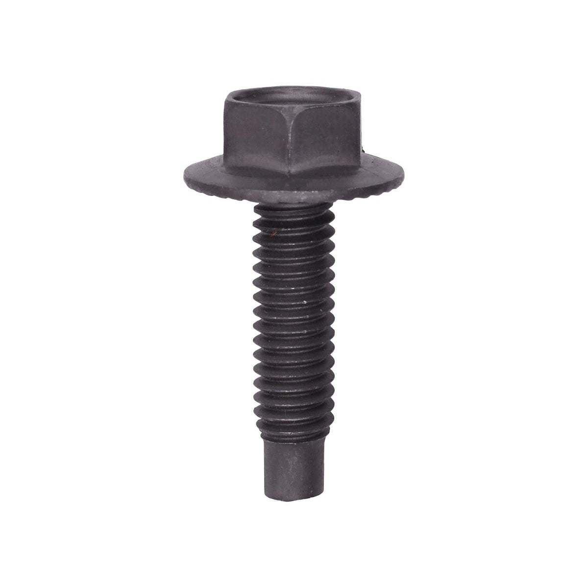 Carriage and Flange Bolts