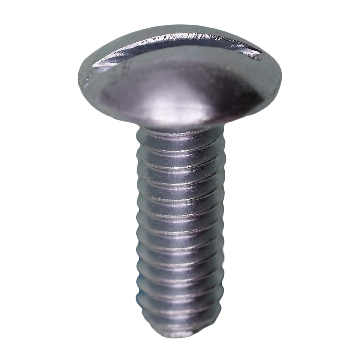 1/4"-20x3/4" Slotted Round Head License Plate Bolt, Zinc