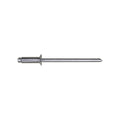 1/8"x25/64" Silver Countersunk Head Pan-L Rivets, 3/16"-1/4" Grip, Steel Body, Steel Mandrel, 7/32"