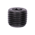 1/4"-18 Pipe Plug Hex Socket Head, Plain