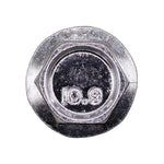 M6-1.0x12mm Hex Head Flange License Plate Screw, Zinc & Clear, 14mm Flange Diam