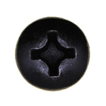 M6-1.0x20mm Phillips Pan Head License Plate Screw, Black E-Coat