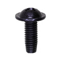 M6-1.0 License Plate Screw, Black Zinc