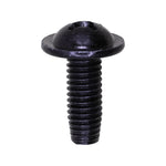 M6-1.0 License Plate Screw, Black Zinc