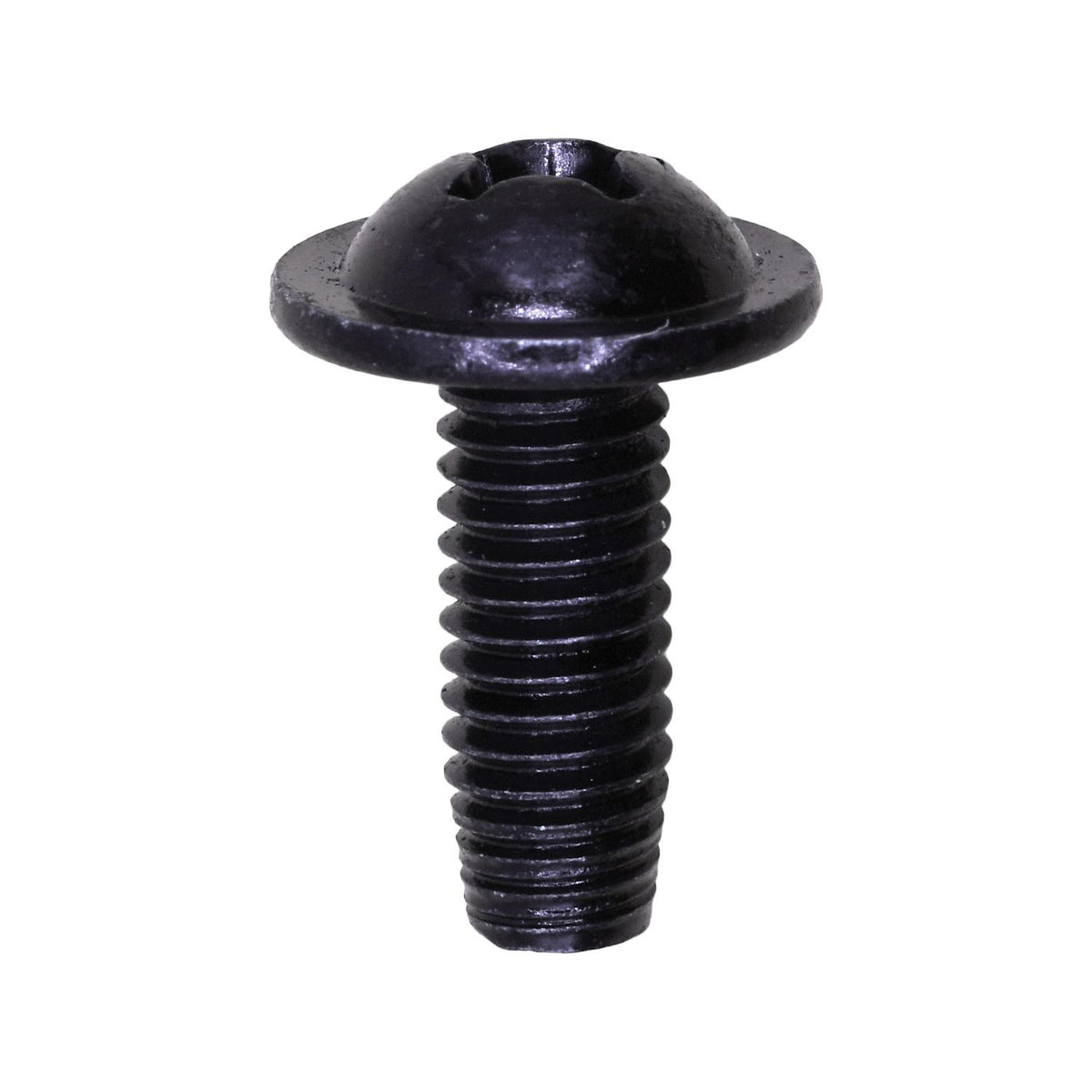 M6-1.0 License Plate Screw, Black Zinc