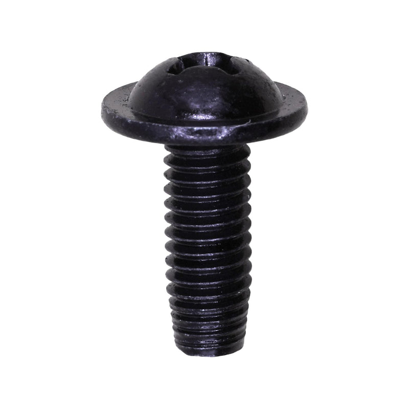 M6-1.0 License Plate Screw, Black Zinc