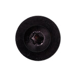 M5-2.2 Torx Pan Head SEMS Tapping Screw, Black