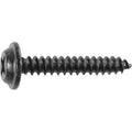 #8-18x1" Phillips Flat Top Washer Tapping Screw, Type A/AB, Black E-Coat