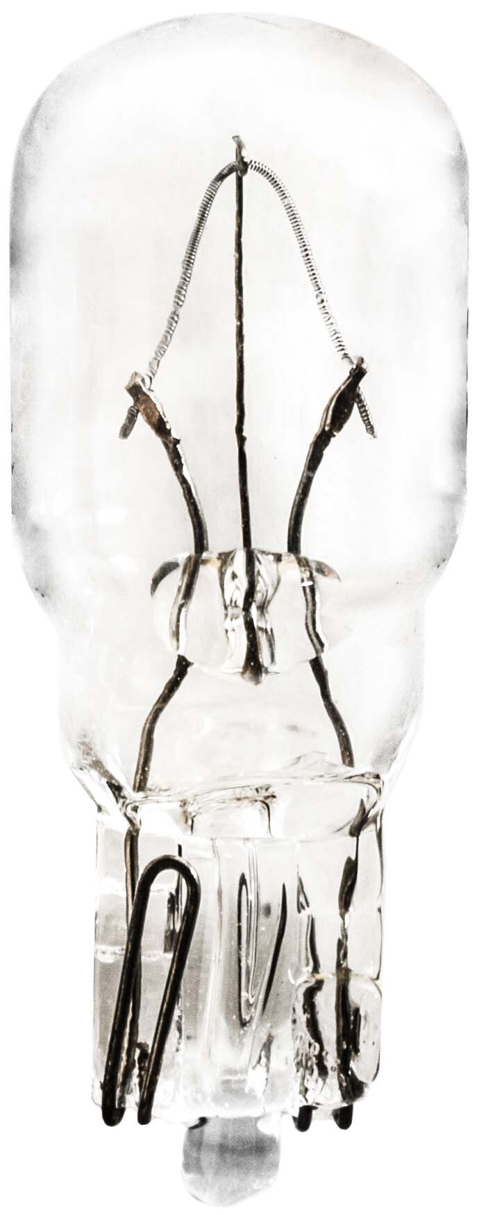 Clear Industry Standard 24 Bulb