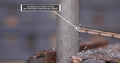 15/64" Stepped Point Cobalt Drill Bit with 3-Flat Shank