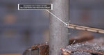 1/2" Stepped Point Cobalt Drill Bit with 3-Flat Shank