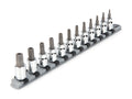 3/8 Inch Drive Tamper-Resistant Torx Bit Socket Set with Rail, 12-Piece (TR10 - TR60)