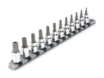 3/8 Inch Drive Tamper-Resistant Torx Bit Socket Set with Rail, 12-Piece (TR10 - TR60)