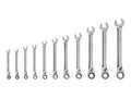Reversible 12-Point Ratcheting Combination Wrench Set, 11-Piece (1/4-3/4 in.)