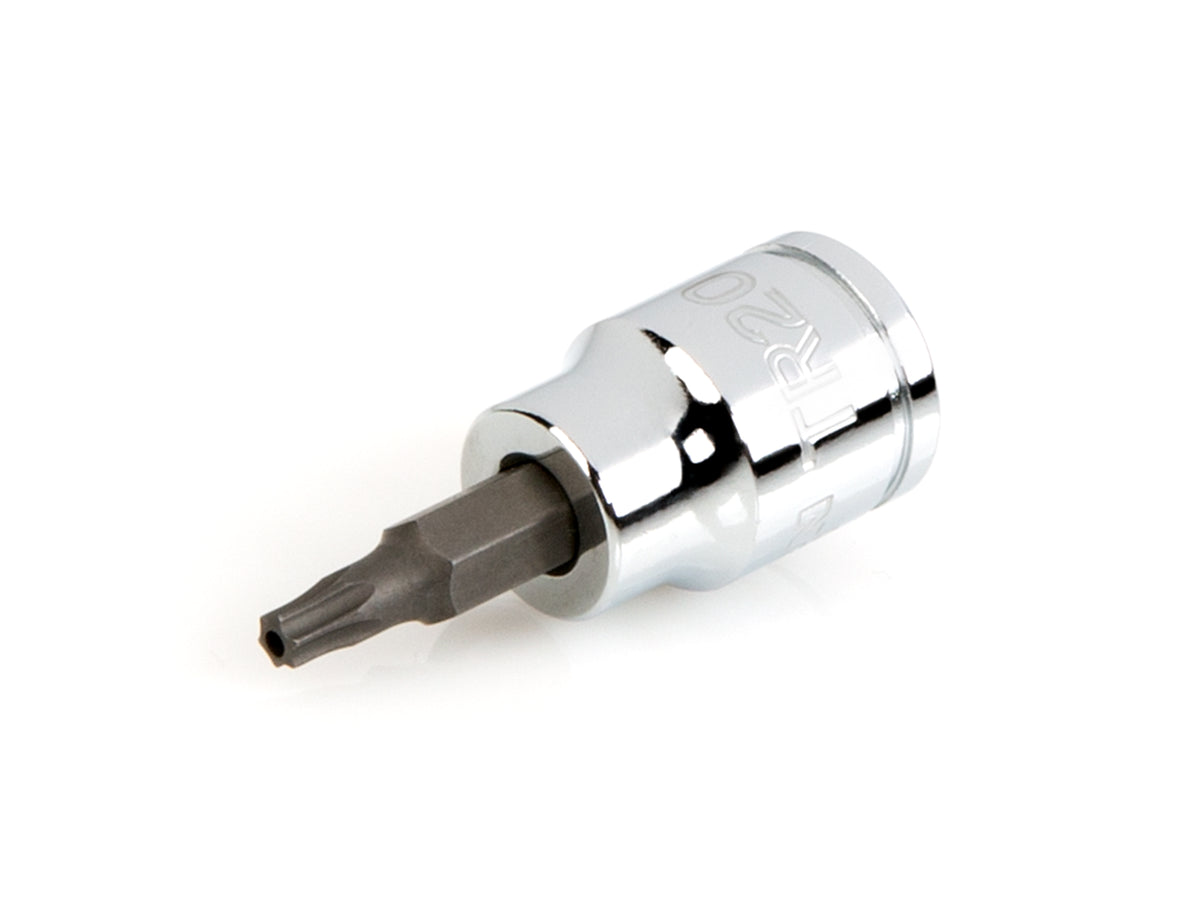 Tr8 Bit 3/8 Inch Drive x TR20 Tamper-Resistant Torx Bit Socket – BoltsandNuts.com