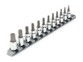 3/8 Inch Drive Torx Bit Socket Set with Rail, 12-Piece (T10 - T60)