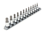 3/8 Inch Drive Torx Bit Socket Set with Rail, 12-Piece (T10 - T60)