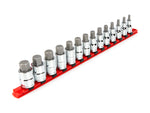 1/2 Inch Drive Hex Bit Socket Set with Rail, 14-Piece (6 - 19 mm)