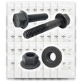 Metric Class 10.9 Hex Flange Frame Bolts & Nuts Assortment Phos & Oil - 369 PCS