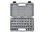 1/2 Inch Drive Hex, Torx, TR Triple Square, Phillips, Slotted Bit Socket Set with Case (44-Piece)