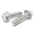 5/16-18x3/4" 18-8 Stainless Steel Serrated Hex Flange Bolts