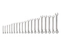 Reversible 12-Point Ratcheting Combination Wrench Set, 19-Piece (6-24 mm)
